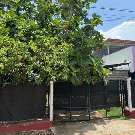Hotel The Lazy Palm Shack Coimbatore Esterno foto